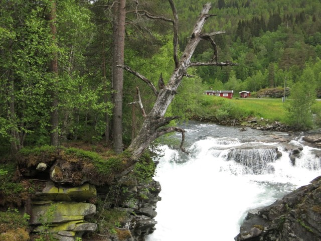 Hurtigruten_2015-06-18_15-39
